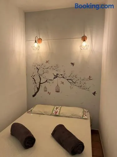 Canto do Florescer - Image 1