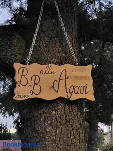 b&b ALLE AGAVI - Image 1