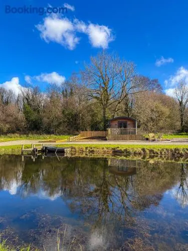 'Cosy Gem' Cabin Woodland Retreat Randalstown NI - Image 1