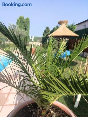 Le gite de lOlivier en Provence - Image 1
