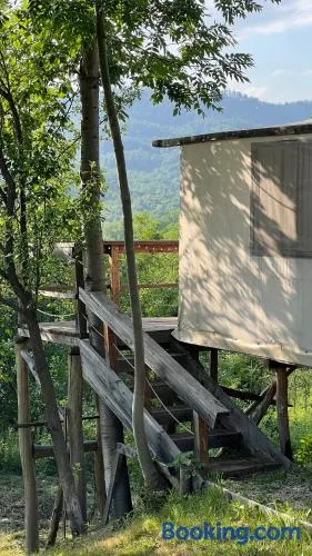 Mesteceni Glamping - Image 1