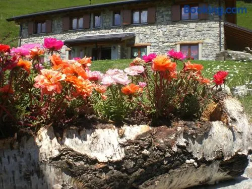 Agriturismo Le Radici - Image 1