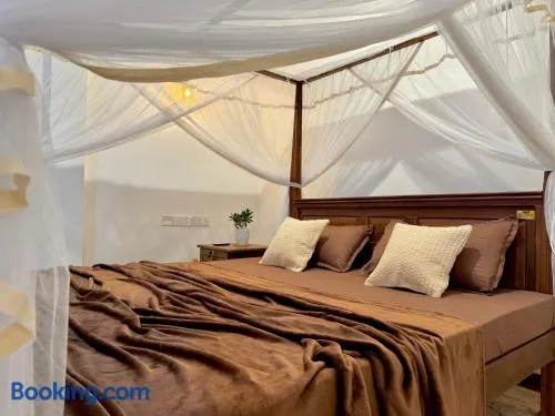 Sasmika Villa Surf and Yoga Hostel - Image 1
