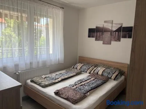 Kohl Wellness Apartman - Image 1