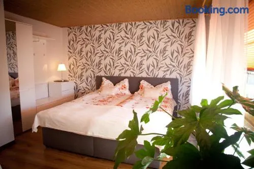 Gästezimmer im Grünen Haus - Image 1