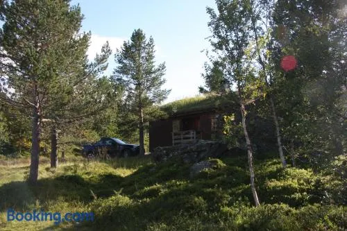 Lemonsjø Fjellstue og Hyttegrend - Image 1