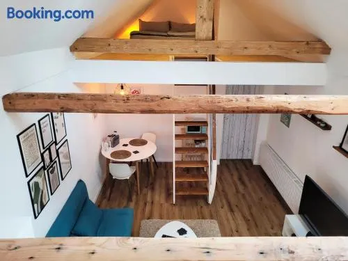 Modernes 1-Zimmer-Apartment mit Galerie-Schlafkoje im skandinavischen Stil - Image 1