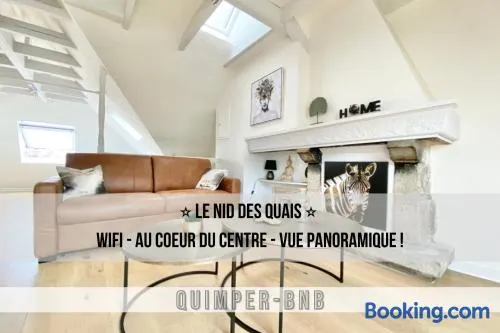 LE NID DES QUAIS - Vue Panoramique au cœur de la ville - Wifi - Entrée autonome - Image 1