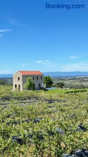 Quinta da Cumieira Nova - Image 1