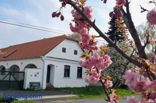 Fűszeres Porta - Image 1
