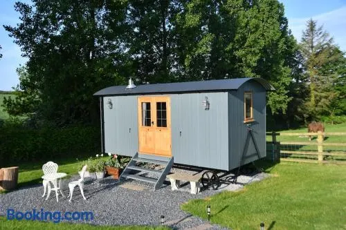 The Shepherds Hut - Image 1