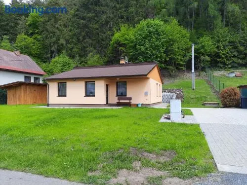 Líšný 105 celý nový dům se zahradou u Jizery a cyklo-stezky New house by Jizera river and bicycle path - Image 1