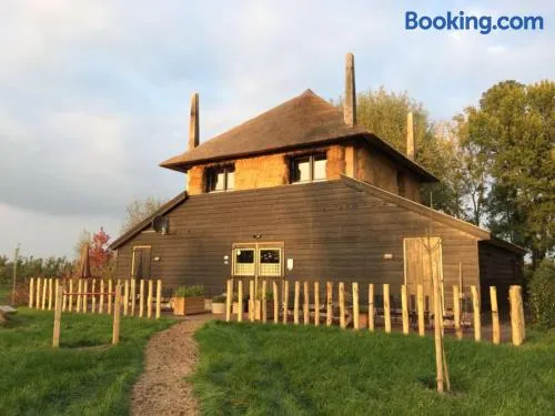 De Steltenberg in de Betuwe - Image 1