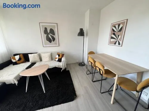 COSY F3 PROCHE CENTRE - Image 1