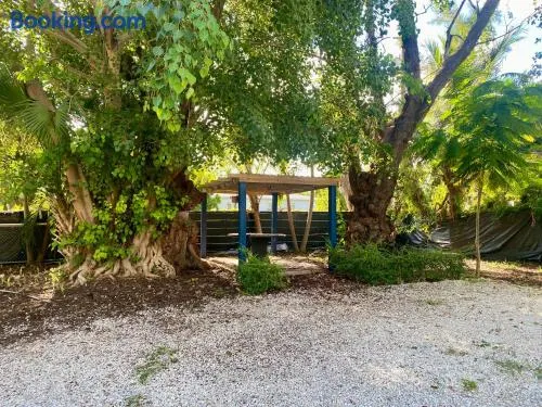 Artful 3BR Oasis in Little Haiti, Miami - Image 1