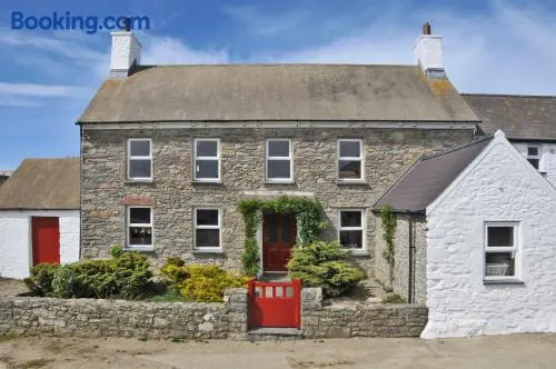 Treleddyn Farmhouse - Image 1