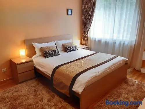 Apartament Central - Image 1
