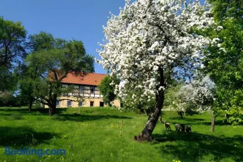 Ferienwohnung Böhme - Image 1