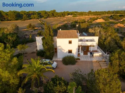 Ses Oliveres - Image 1