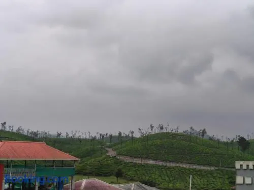 IFA Family homestay - Image 1