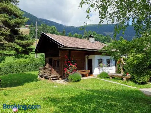 Waldheimat - Image 1