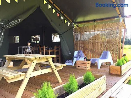 Wingfield Escapes - Image 1