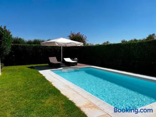 Sonomusica B&B - Image 1