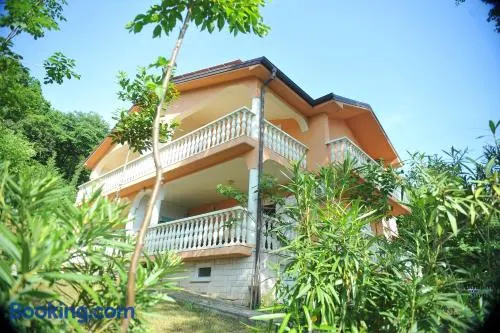 Apartments Viktorija - Image 1