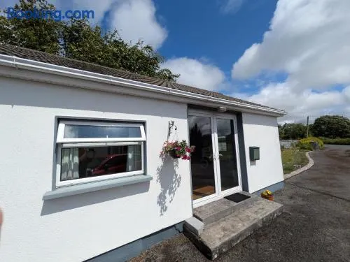 Wild Atlantic Way Guesthouse - Oranmore - Image 1