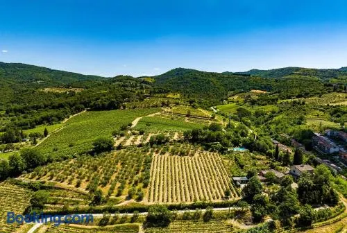 Podere Campriano Winery Adult only - Image 1