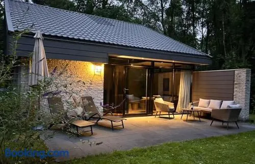 Bosvilla Berk met een Jacuzzi - Image 1