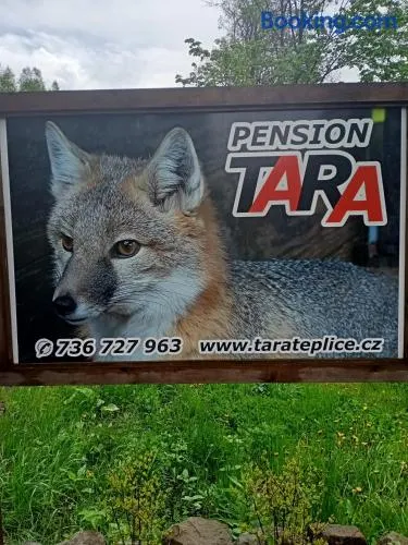 pension TARA - Image 1