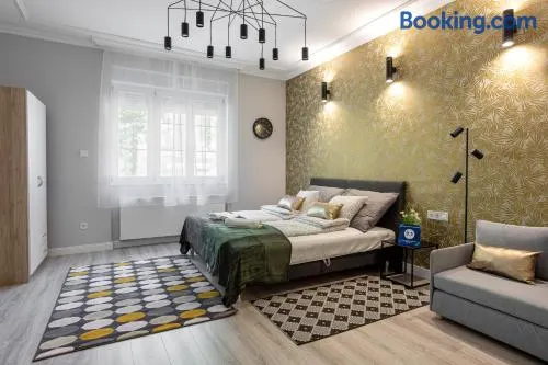 Buda Castle Serpentine Apartments - Image 1