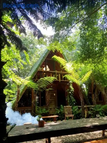 tropical garden homestay - Image 1