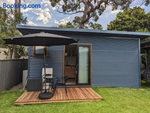 The shed - Image 1