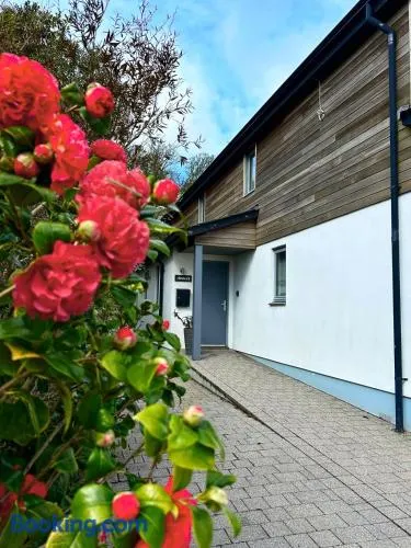 Avocet, your modern home on the Estuary! - Image 1