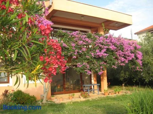 Apartman Lavanda - Image 1