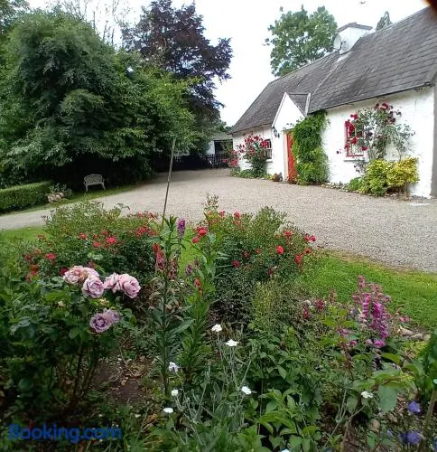 O'Neill's Self Catering Cottage- close to Cashel - Image 1