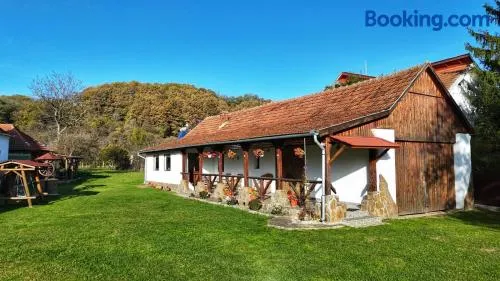 Casa de Peste Apă - Image 1