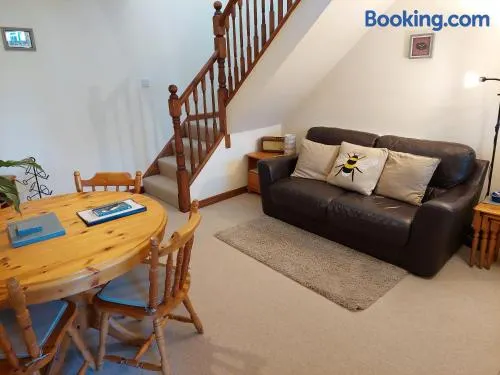 The Beehive - Self catering in the heart of the Forest of Dean - Image 1