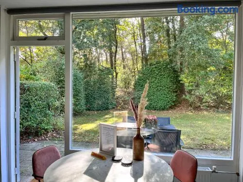 Modern natuurhuisje midden in het bos op de Veluwe - Image 1