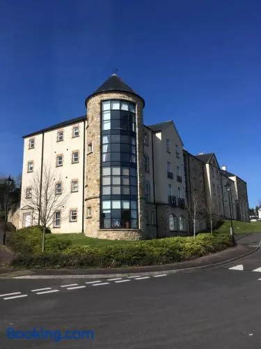 Silverhill House Apartment - Image 1