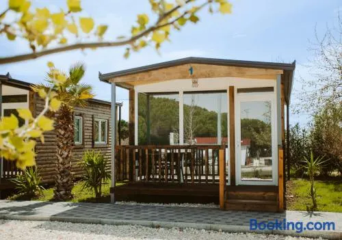 Malibu Spille - Image 1