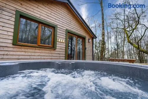 Padley; woodland lodge with hot tub for 2-4 in the Staffordshire Moorlands - Image 1