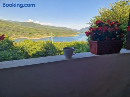 Zavojsko jezero - kuća Mitić - Image 1