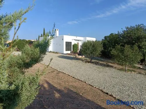 El Cerrillo - Image 1