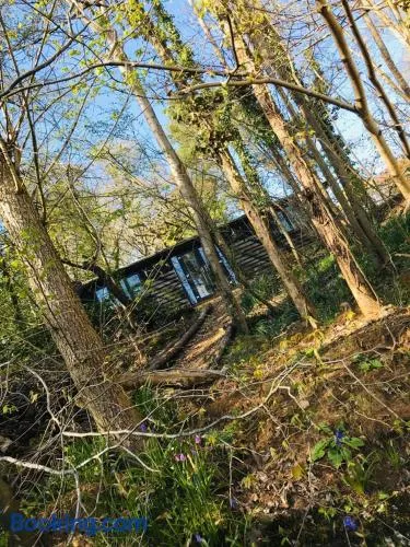 Redhill Lodge - Image 1