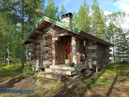 Wilderness Cabin on a Private Island - Image 1