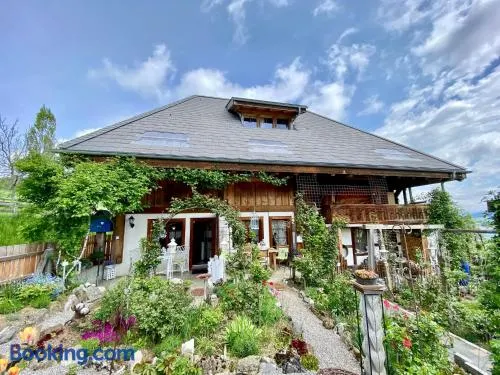 Rosenhüsli - Image 1