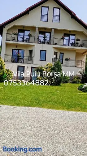 Vila Puiu Borsa MM - Image 1